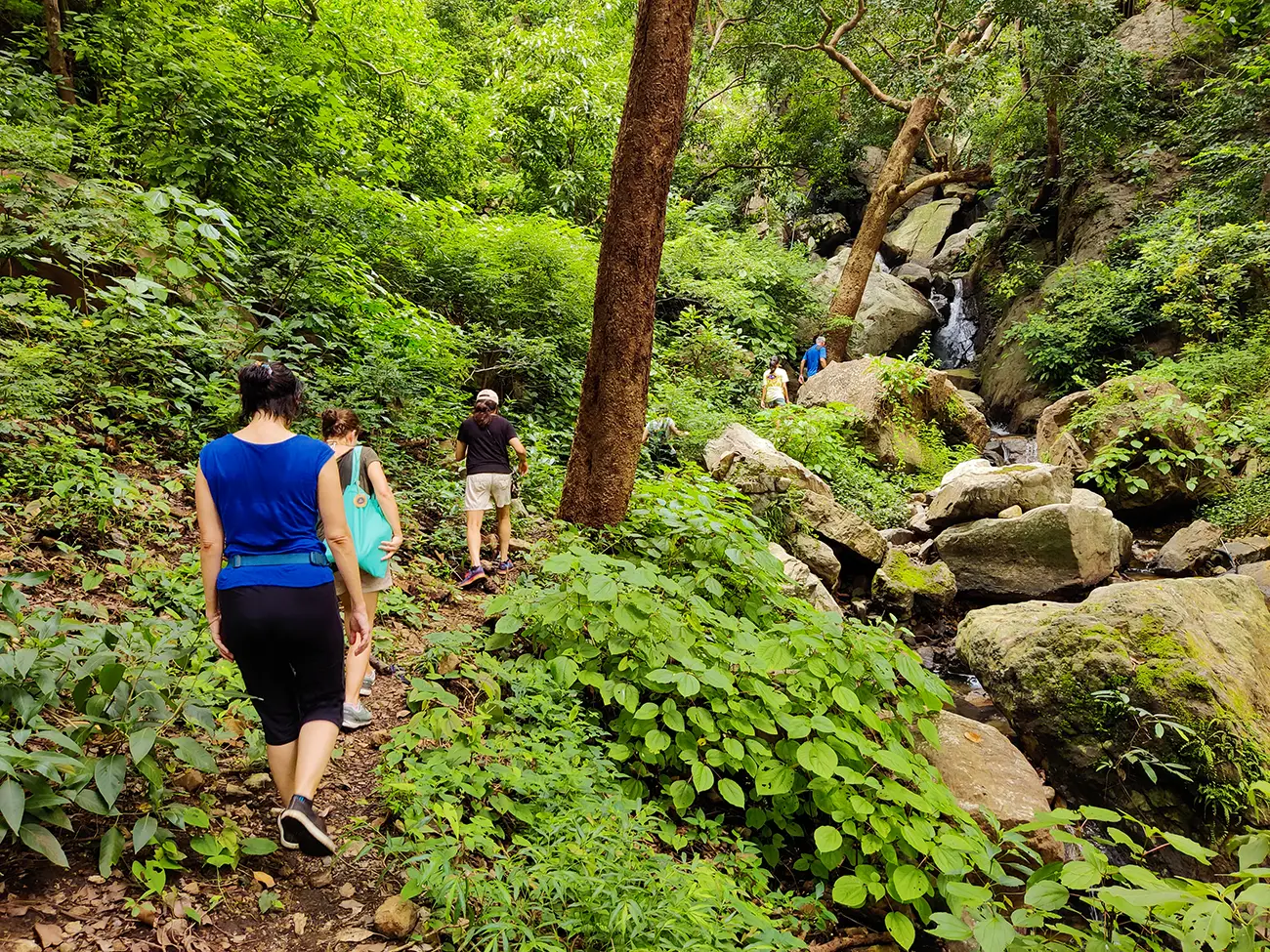 Guided Hiking Experiences